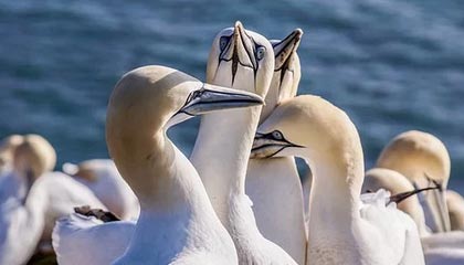 开云体育官网-hth华体会官网：信任、体验与成长的软文之旅